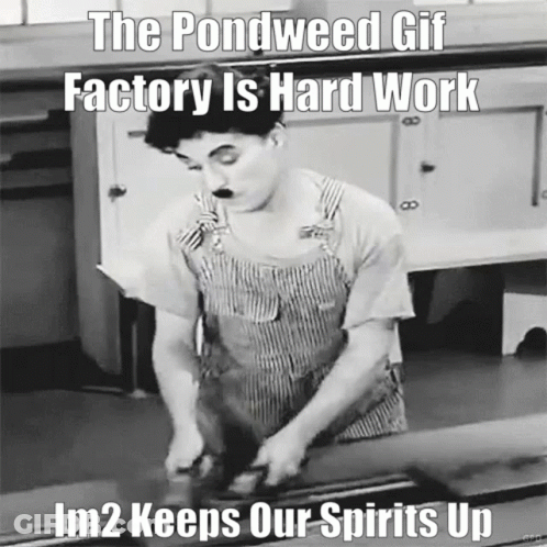 Black And White Man Pondweed GIF Factory Hard Work GIF
