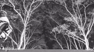 Black And White Man Riding Skateboard In Forest GIF