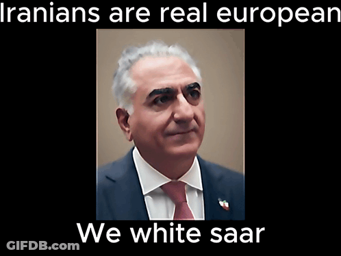 Black-And-White Man Says Iranians Are Real European GIF