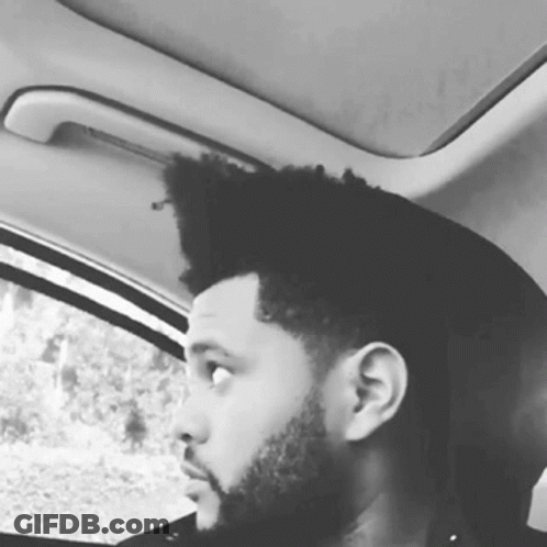 Black And White Man With Beard Looking Out Car Window GIF