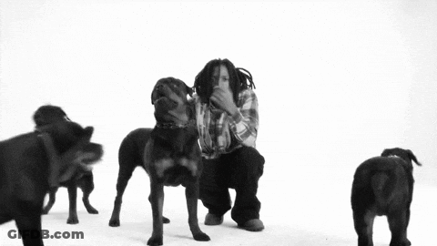 Black And White Man With Dreadlocks Looking At Camera GIF