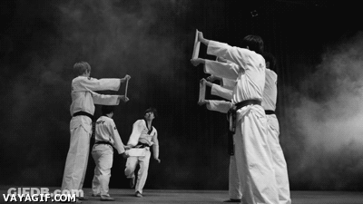 Black And White Martial Arts Fighters Vayagif.com GIF