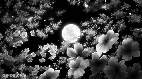 Black And White Moon And Flowers GIF