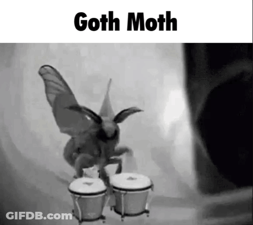 Black And White Moth Labeled Black Knit Groom GIF