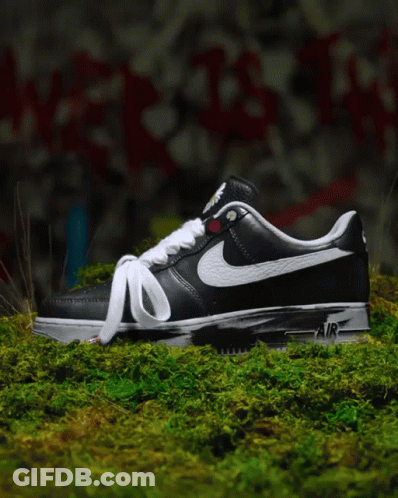 Black And White Nike Air Shoes On Mossy Surface GIF