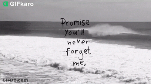 Black And White Ocean Promise You'll Never Forget Me GIF