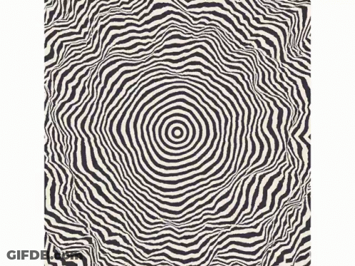 Black And White Optical Illusion Spiral GIF