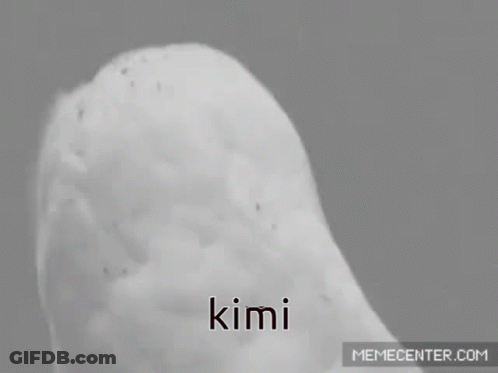 Black And White Owl With Word Kimi On Face GIF
