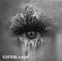 Black And White Painting Of Woman's Eye With Waterfall And Tree GIF