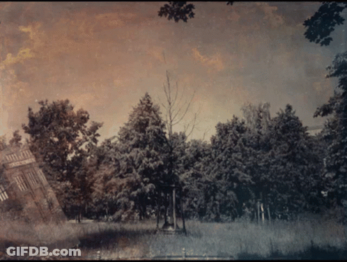 Black And White Park With Trees And Building GIF