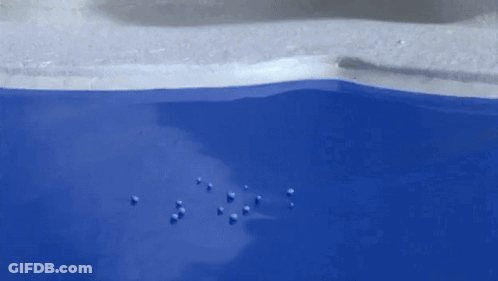 Black And White Penguin Floating In Blue Pool GIF