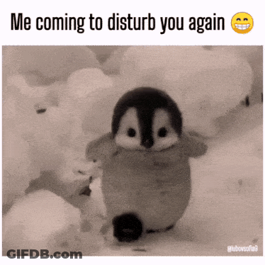 Black And White Penguin Saying Me Coming To Disturb You GIF