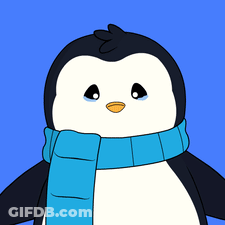 Black And White Penguin With Blue Scarf GIF