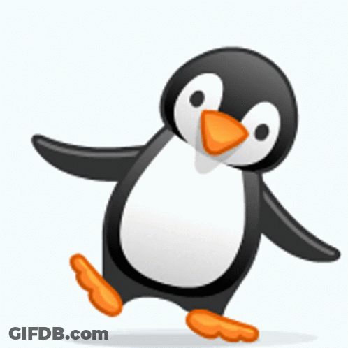 Black And White Penguin With Orange Beak And Legs GIF
