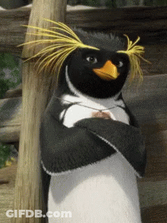 Black And White Penguin With Yellow Head Arms Crossed GIF