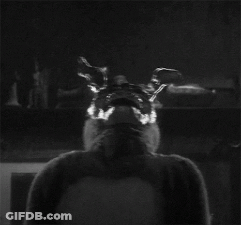 Black And White Person Dressed As Bunny GIF