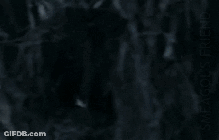 Black And White Person In Forest Master Looks After Us GIF