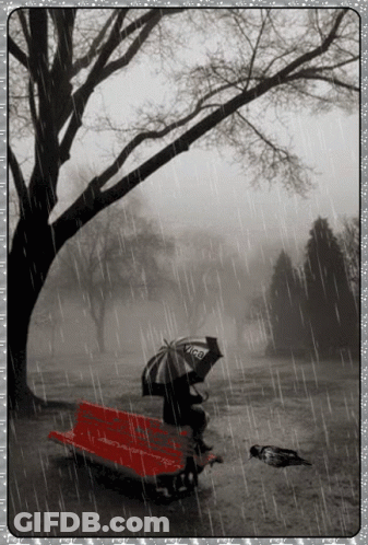 Black And White Person On Bench With Visa Umbrella GIF