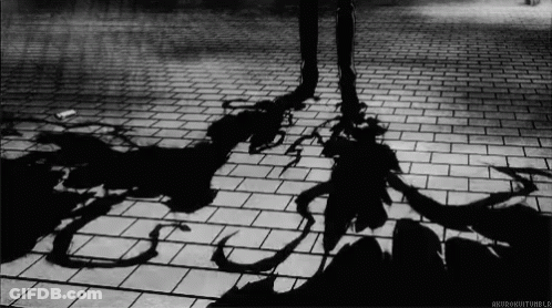 Black And White Person's Shadow On Brick Floor GIF