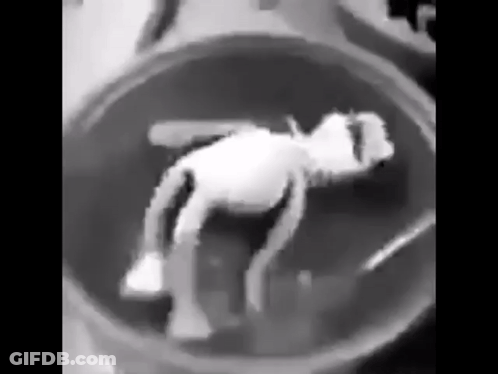 Black And White Person Sitting In Bowl GIF