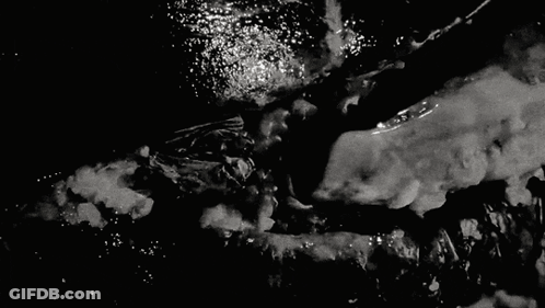 Black And White Person Swimming GIF