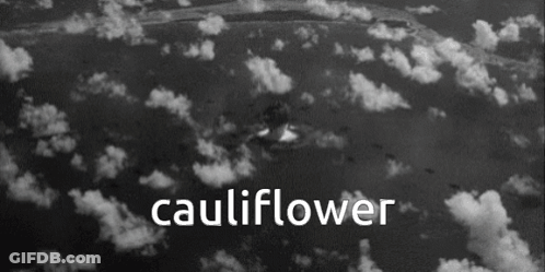 Black And White Photo Cauliflower GIF