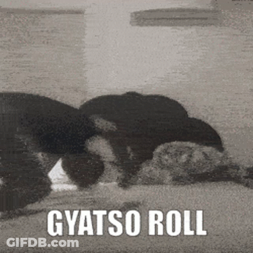 Black And White Photo Gyatso Roll On Bed GIF