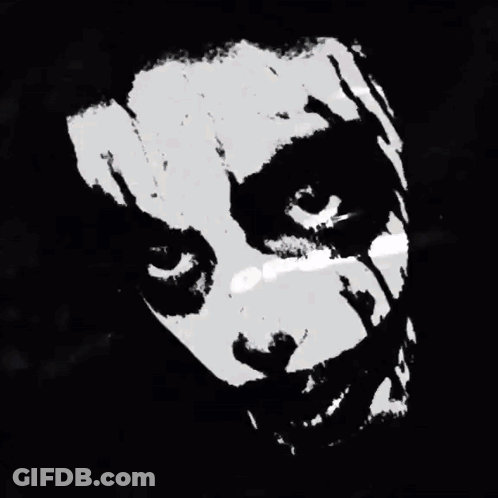 Black And White Photo Of Bird Flying GIF