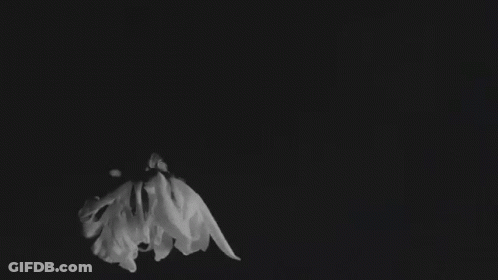 Black And White Photo Of Children Playing GIF