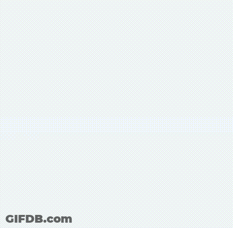 Black And White Photo Of Dog Walking In Room GIF