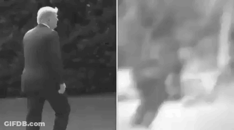 Black And White Photo Of Donald Trump Walking Down Sidewalk GIF