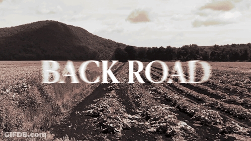 Black And White Photo Of Field Back Road GIF