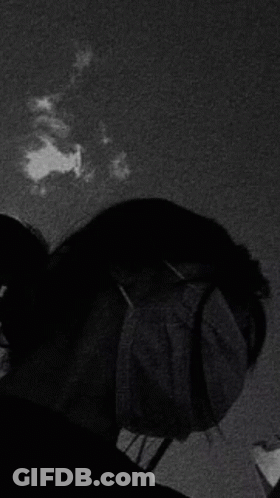 Black And White Photo Of Flock Of Birds In Sky GIF
