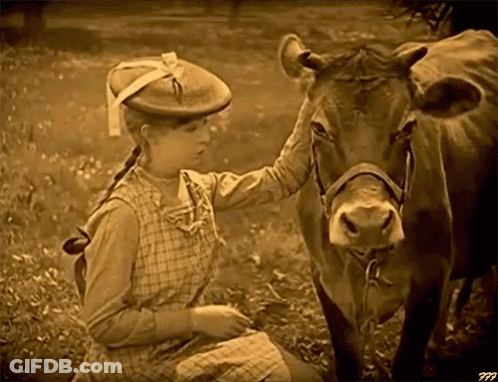 Black And White Photo Of Girl Petting Cow With Letters PPP GIF