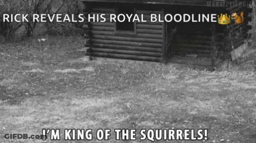 Black And White Photo Of Log Cabin Rick Reveals His Royal Bloodline GIF