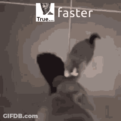 Black And White Photo Of Man Saying Faster GIF