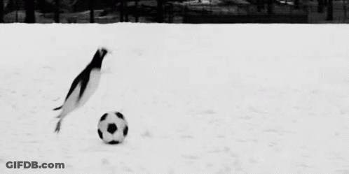 Black And White Photo Of Penguin Playing With Soccer Ball In Snow GIF