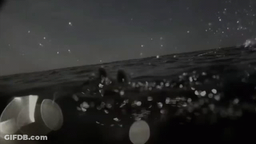 Black And White Photo Of People Swimming In Ocean GIF