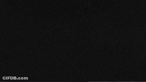 Black And White Photo Of Refrigerator With Bottles And Jars GIF