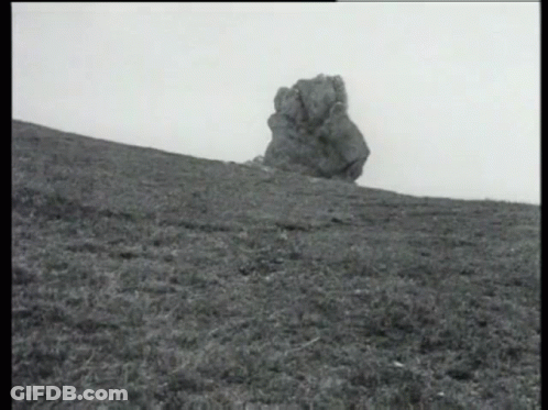 Black And White Photo Of Rock In Grassy Field GIF