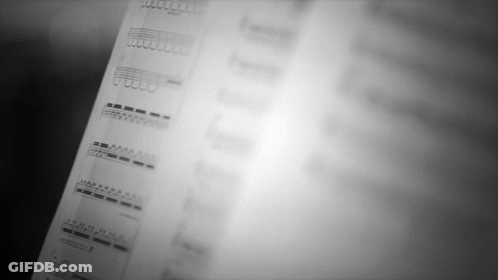 Black And White Photo Of Sheet Music GIF