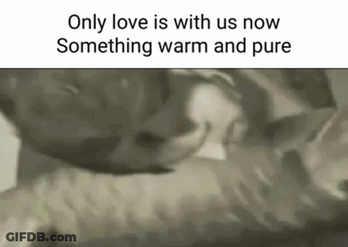 Black And White Photo Of Two People Kissing GIF