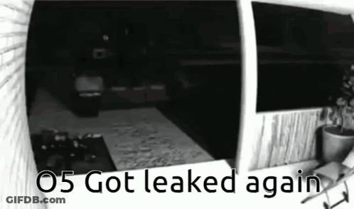 Black And White Photo Room 05 Got Leaked Again GIF