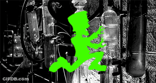 Black And White Photo With Green Lab Silhouette GIF