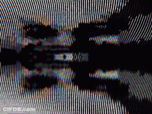 Black And White Photo With Tree Reflection GIF