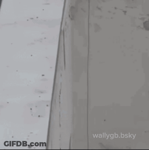 Black And White Pigeon On Wall Saying Wallygb.bsky GIF