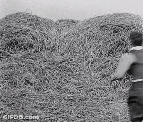 Black And White Pile Of Hay GIF