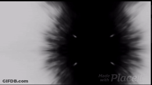 Black And White Placeit Image GIF