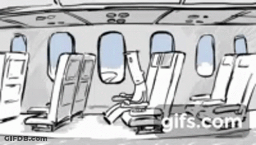 Black And White Plane With Seats And Windows GIF