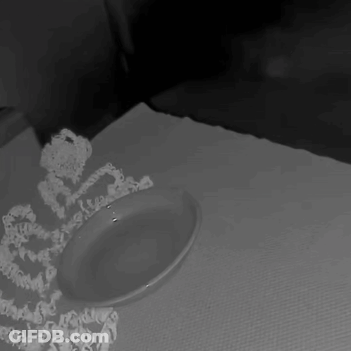 Black And White Plate On Tablecloth GIF